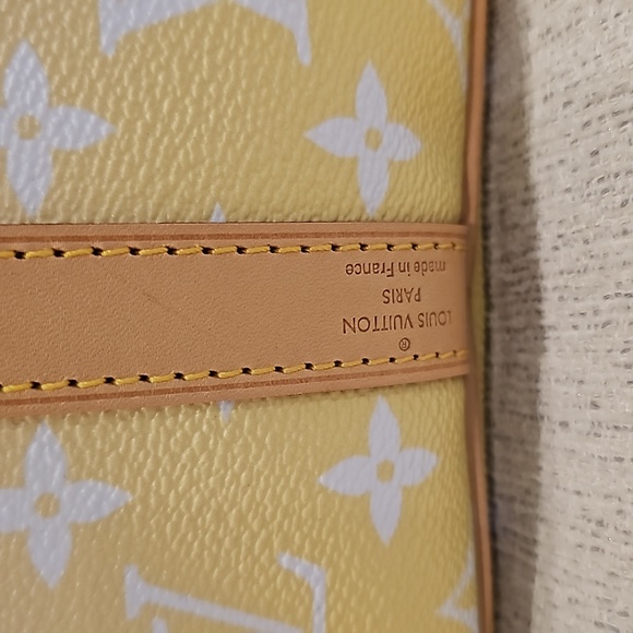 ❌️SOLD❌️ Louis Vuitton By the Pool  Speedy 25 - Picture 4 of 11